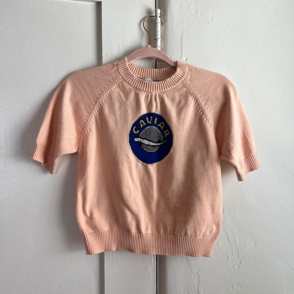 Rachel Antonoff Pink Caviar Sweater